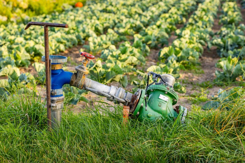 water pump agriculture field irrigation drought exposed front agricultural vegetables 292452887